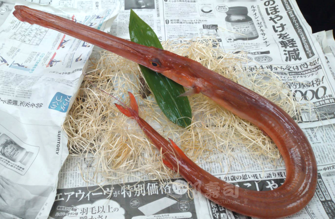 赤幹 アカヤガラ 原條刺身